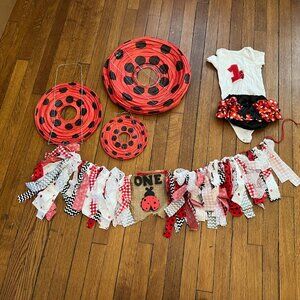 Ladybug First Birthday